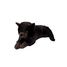 Chat en peluche lesté 1,2 kg As-84684 ByAstrup 1