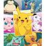 Puzzle Types de Pokémon 250 pcs N868827 Nathan 2