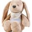 Veilleuse peluche lapin beige Sleepy NA876582 Nattou 2