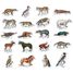 Magnets zoologiques de Buffon V9622 Vilac 3
