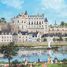 Le Château d'Amboise de Delacroix A1109-500 Puzzle Michèle Wilson 2