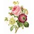 Rose, anémone et clématite de Redouté A1286-80 Puzzle Michèle Wilson 2