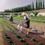 Les jardiniers de Caillebotte A881-650 Puzzle Michèle Wilson 2