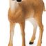 Figurine Biche de Virginie SC-14819 Schleich 5