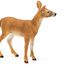 Figurine Biche de Virginie SC-14819 Schleich 4