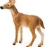 Figurine Biche de Virginie SC-14819 Schleich 2