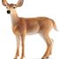 Figurine Biche de Virginie SC-14819 Schleich 1