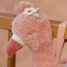 Boite à musique flamant rose LD8306 Little Dutch 3