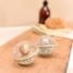 Boules de bain rotatives Safari Friends LD2017502 Little Dutch 7