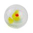 Bulle d'eau Famille Canard B38001 Bass & Bass 2