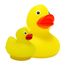 Bulle d'eau Famille Canard B38001 Bass & Bass 4