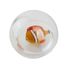 Bulle d'eau Poisson Clown B38012 Bass & Bass 4