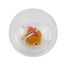 Bulle d'eau Poisson Clown B38012 Bass & Bass 6