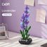 Pot de fleurs de lavande 205 pièces C59027W CaDA 2