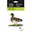 Maquette 3D en papier Canard colvert mâle FRI-11756 Fridolin 2
