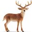 Figurine Cerf De Virginie SC-14818 Schleich 1