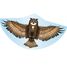 Cerf-volant Hibou GU-1193 Günther 1
