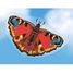 Cerf-volant Papillon Paon-du-jour GU-1103 Günther 3