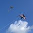 Cerf-volant Air Sport Whisper 125 GX GU-1031 Günther 4