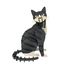 Maquette 3D en papier Chat noir et blanc FRI-11759 Fridolin 1