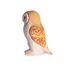 Figurine Chouette effraie WU-41008 Wudimals 1