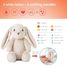 Peluche veilleuse musicale Billy le Lapin Cloudb-7703-BB Cloud b 10