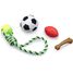 Jouets pour chien Sport BUK-PET001 Buki France 5