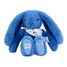 Peluche Lapin Fleurette bleu 25 cm DC4299 Doudou et Compagnie 1