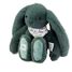 Peluche Lapin Fleurette vert 25 cm DC4300 Doudou et Compagnie 2