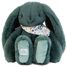 Peluche Lapin Fleurette vert 35 cm DC4305 Doudou et Compagnie 1