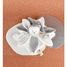 Doudou plat pétales Ours Gris 25 cm DC4337 Doudou et Compagnie 3