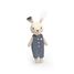 Famille Lapin SM-SP4006 Speedy Monkey 2