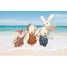 Famille Lapin SM-SP4006 Speedy Monkey 7
