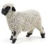 Figurine Mouton nez noir du Valais PA-51194 Papo 3