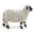 Figurine Mouton nez noir du Valais PA-51194 Papo 4