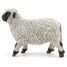 Figurine Mouton nez noir du Valais PA-51194 Papo 5