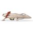 Figurine Axolotl PA-56066 Papo 4