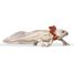 Figurine Axolotl PA-56066 Papo 5