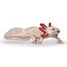 Figurine Axolotl PA-56066 Papo 1