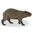 Figurine Capybara PA-50327 Papo 2