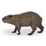 Figurine Capybara PA-50327 Papo 4