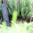 6 marqueurs de plantes en ardoise ED-GT131 Esschert Design 4