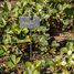Marqueur de plantes en ardoise sur tige ED-GT132 Esschert Design 4