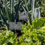 Marqueur de plantes en ardoise sur tige ED-GT132 Esschert Design 5