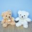 Peluche Ours Câlin crème 21 cm HO2533 Histoire d'Ours 7