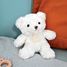 Peluche Ours Câlin crème 21 cm HO2533 Histoire d'Ours 4