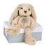 Peluche Lapin Beige 25 cm HO2430 Histoire d'Ours 1