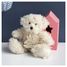 Peluche Ours Câlin Ivoire 21 cm HO2533 Histoire d'Ours 2