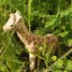 Figurine Girafe en bois WU-40454 Wudimals 4