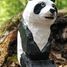 Figurine Panda WU-40705 Wudimals 4